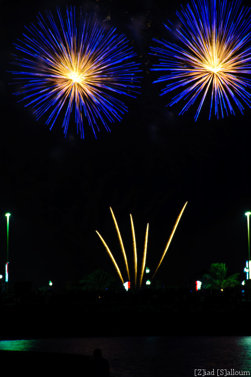 Fireworks 3 (D700, Tamron 24-135mm f/3.5-5.6 @ 112mm, f8, ISO 200, 1.3sec)